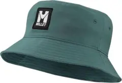 Item thumbnail for item c0b28067-a237-480e-999d-a405739b6b6f