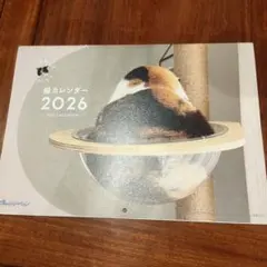 Item thumbnail for item 21dc9367-281b-4b31-a3f4-2473dc943116