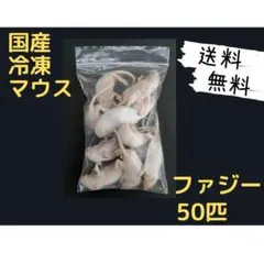 送料無料 冷凍マウスファジー50匹 - メルカリ