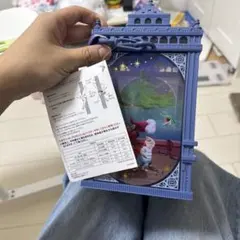 ディズニー　ピーターパン　ポップコーンバケット