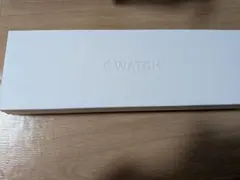 Apple Watch10 42mm シルバー 本体