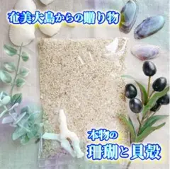 A60【奄美大島の海からの贈り物】エメラルド色の海から採れた本物の珊瑚と貝殻の砂