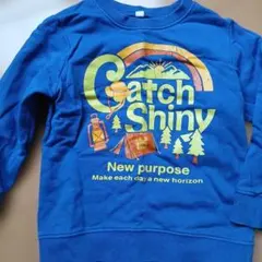 Catch Shiny グラフィックトレーナー