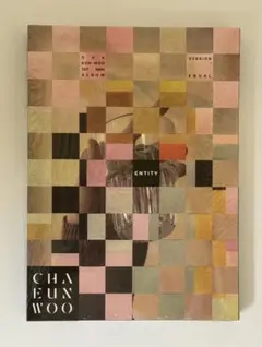 2025年最新】チャウヌ トレカ entityの人気アイテム - メルカリ