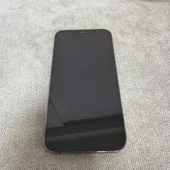 Apple iPhone 12Pro スペースグレー 本体 SIMフリー