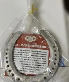 地方競馬教養センター 蹄鉄 ラッキーアイテム