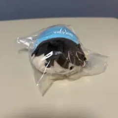 2026年最新】及川徹 のるキャラの人気アイテム - メルカリ