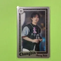 チャンビン トレカ Stray Kids ライブフォトカード dominATE