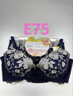E75 ブラ&ショーツセット Pan Cute モールドカップ 脇高