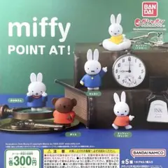 miffy POINT AT ! 全5種コンプリート