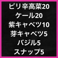 アキヲ様 リクエスト 6点 まとめ商品