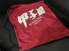 Item thumbnail for item 911a3ffa-8c60-4898-a0ec-986dedf505df