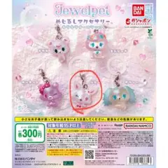 寶石寵物 Jewel pet 標記飾品 閃亮歐若拉 ver.