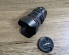 光学極上品】Canon EF 24-105㎜ F4 L IS USM #387 - メルカリ