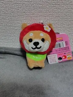 旅するマメしば 和歌山限定 南高梅バージョン