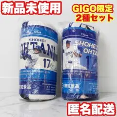 北海道日本ハムファイターズ 大谷翔平 ダイジェスト ビゲストタオル