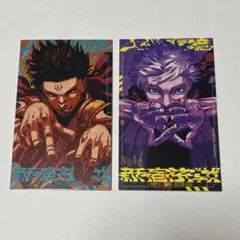 10 呪術廻戦 モジュロ ２巻 特典 両面ミニイラストカード 五条悟 両面宿儺