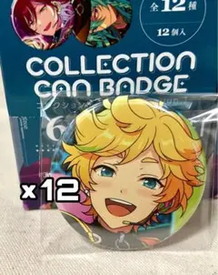 【最終値下げ】あんスタ コレ缶 コレクション缶バッジ idol 宙 12点