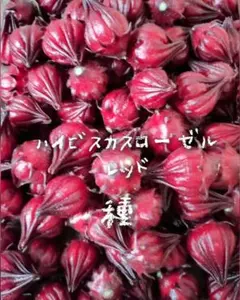 Hisano様 リクエスト 8点 まとめ商品