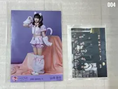 LOVE 山本杏奈 7周年コンサート 猫衣装 円盤封入生写真 コンプ - メルカリ