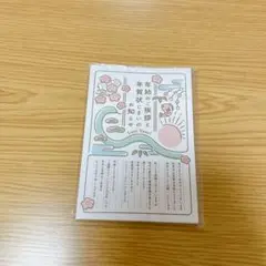 年賀状じまい2025（新年お知らせ）私製10枚入り特選デザイナーズ　かわいい