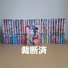 サバイバル　武芸紀行　応仁の乱等　15冊 サバイバル 武芸紀行 応仁の乱等 15冊 - メルカリ