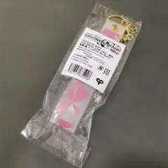 プロセカ カラフルライブ 2nd ペンライトストラップ 宵崎奏のサムネイル
