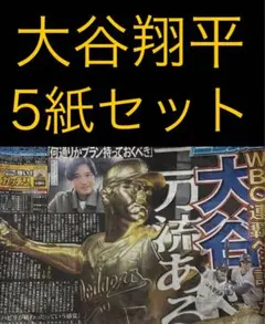 11/27 大谷翔平　スポーツ新聞5紙セット