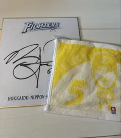 日本ハムファイターズ 藤森海斗 直筆サイン色紙 - メルカリ