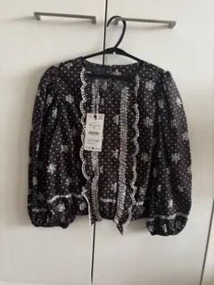 ZARA 刺繍 ブラウス