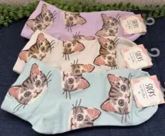 ☆新品☆とっても可愛い♪サバトラ&茶トラのレディースソックス3足組☆23〜25㌢