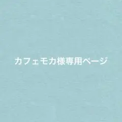 カフェモカ＊プロフ必読様 リクエスト 3点 まとめ商品