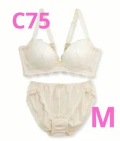 【はっつぅ様】 ブラ ショーツセット しっかり盛れる ノンワイヤー C75 М