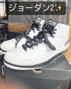 新品NIKE AIR JORDAN 2 RETRO ジョーダン ゴールデンサイズ
