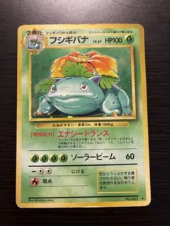 フシギバナ 旧裏★ 【PSA8】第1弾拡張パック 再販 マークあり NO.003 PSA8】フシギバナ 旧裏 初版 マークなし 1枚の通販 土日祝休 magi公式