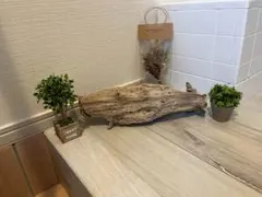 流木　インテリア