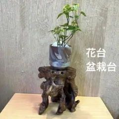 2026年最新】瘤木の人気アイテム - メルカリ