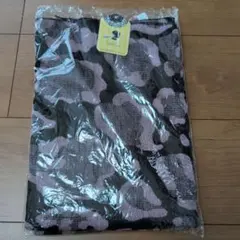 Item thumbnail for item 8e2eca5a-ecab-48ea-aaaf-c09648cacd4a