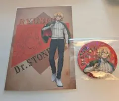 ドクターストーン eeo フライトジャケット 特典 缶バッチ 七海龍水