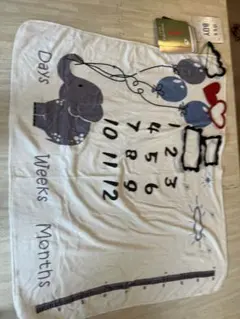 Item thumbnail for item 48bfe00a-eb45-4437-916d-fd64b7abe2fc