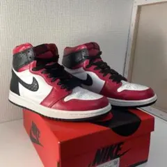 NIKE WMNS AIR JORDAN 1 RETRO HIGH US7