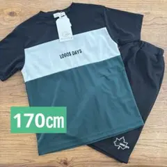 【新品】キッズ　ロゴス　Tシャツ　ハーフパンツ セットアップ　170㎝