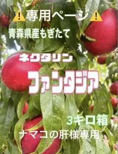 青森県産 ネクタリン【ファンタジア】ナマコの肝様専用①