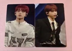 &TEAM HARUA ハルアトレカ2枚セット　アジツ