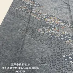 江戸小紋 裄67.5 付下げ 寄せ柄 美しい染め 紋なし 正絹 AK-6708