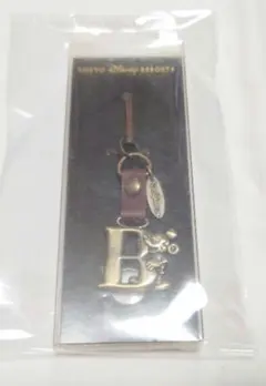 ディズニーリゾート イニシャル キーホルダー