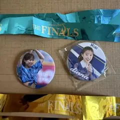 Item thumbnail for item 2bc79ed0-e910-49aa-9d94-9abb421f5f5e