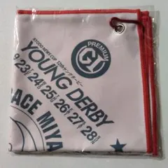 YOUNG DERBY 　ピタッとくっつくタオル