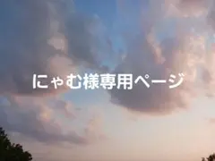 にゃむ様専用ページ