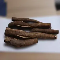 新鮮な訳あり。ゴボウ